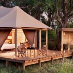 Lodge Luxury Safari