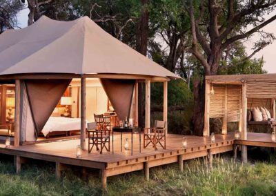 4 Days Tanzania Lodge Safari